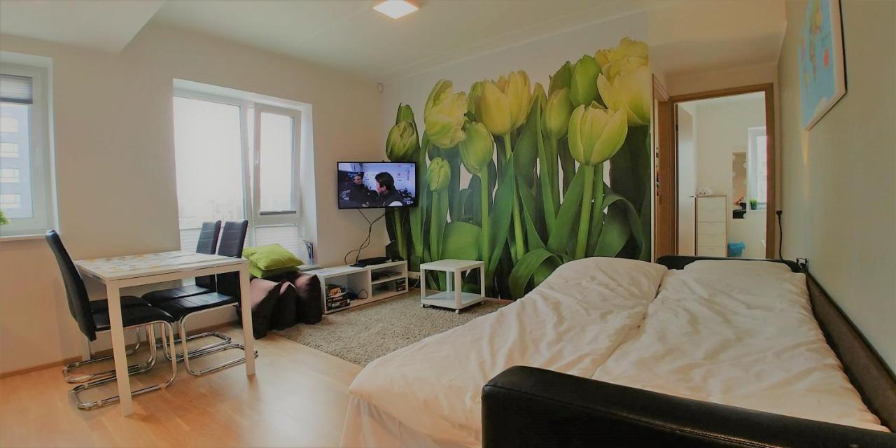 Scandian - Park Apartment *